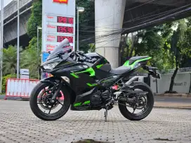 Ninja 250 2019 SE MDP