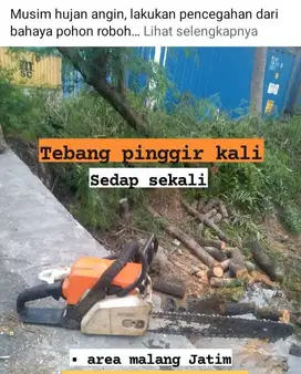 tebang pohon malang