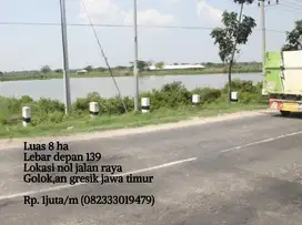 Lahan plot industri gresik (Jalan raya raya golok an)