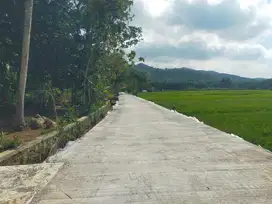 Tanah Murah view Sawah dan Pegunungan dekat Bandara YIA