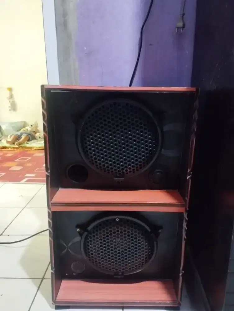Speker siap pakai kondisi bagus (belum lama di pakai)