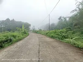 TANAH GUNUNG SEJUK DI PACET