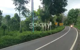 Tanah Cocok Untuk Hotel Dan Restoran ,Lokasi Ke Arah Gunung Ijen di Jl