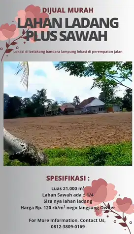 jual ladang murah plus sawah di lampung