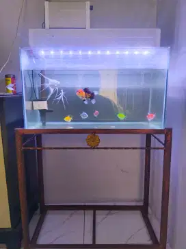 Jual aquarium ukuran 60x30x35 plus meja dan alat