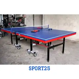 TENIS MEJA PINGPONG