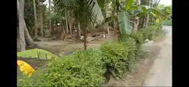 Tanah dijual harga murah