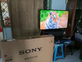 TV Sony Bravia 48 + Bluray Panasonic