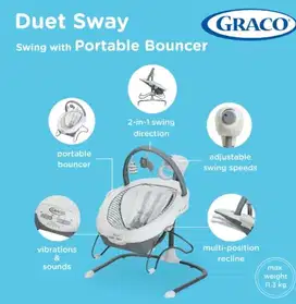 Graco Bouncer Swing