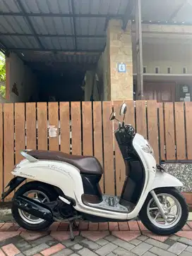 Honda Scoopy stylish