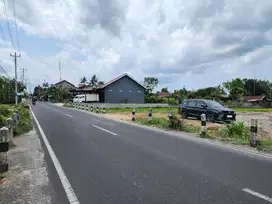 Tanah Murah di Jogja Barat, Tepi Jalan Aspal SHM P