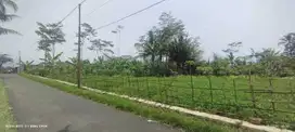 Dijual Tanah Sawah 90 Ubin Sumber Air Melimpah, Kutasari Purbalingga