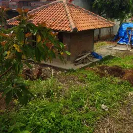 DIJUAL KEBUN ALPUKAT JUMBO Produktif di Pamulihan Tanjungsari Sumedang