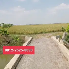 Tanah murah luas 6678m di kota Demak MD