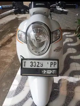 Honda Scoopy Donat white