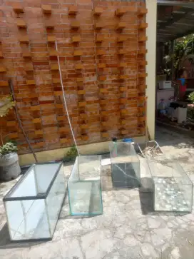 Aquarium 60x30 pendek dan tinggi