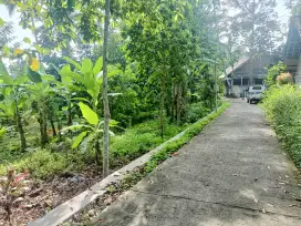 Kebon dekat pemandian muncul