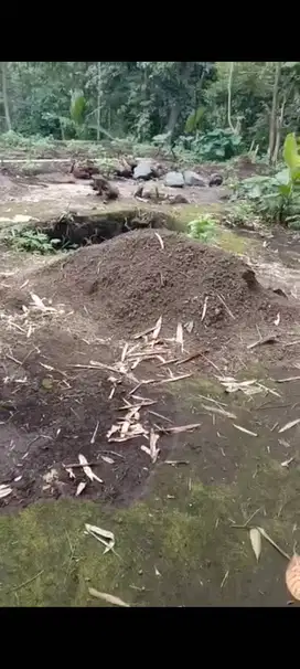 Tanah untuk makam