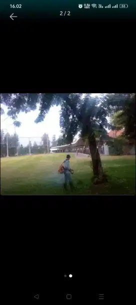 Jasa tebang pohon dan potong rumput