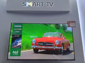 TV PANASONIC 43M450NP CICILAN BUNGA RINGAN