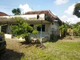 Dijual tanah 0 Jalan raya Muncar, Banyuwangi