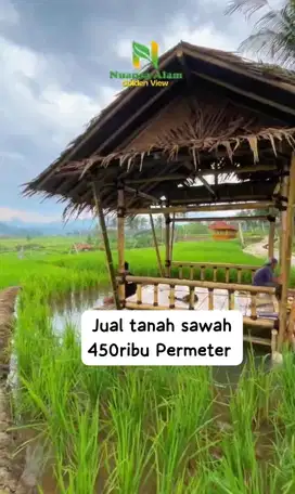 Jual Kavling Sawah Sistem Bagi Hasil Gapoktan