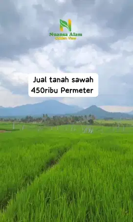 Jual tanah Kavling Sawah Akses Mobil