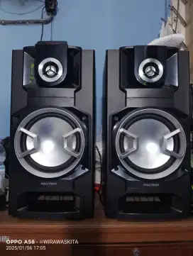 Speaker Polytron