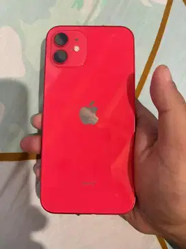 IP 12 biasa 256GB red edition