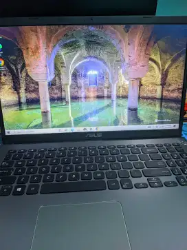 Asus vivobook  m509ba