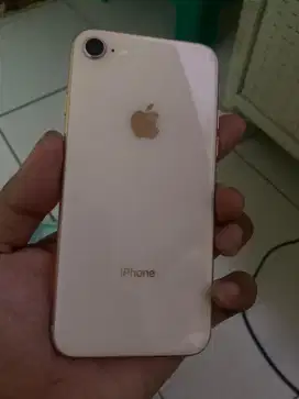 iPhone 8 256gb Ex Inter