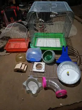 Kandang Hamster, Sugar glider, Tupai