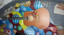 Cort gitar akustik