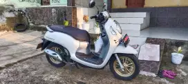 motor Scoopy 2021