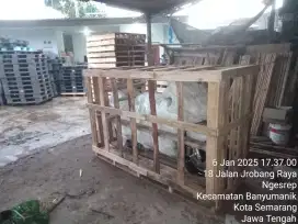 Paking kayu dan palet plastik