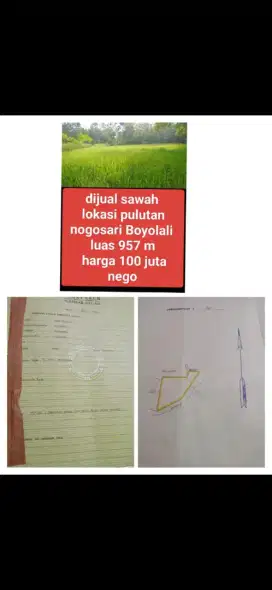 Sawah murah Pulutan Nogosari Boyolali 100jt (wa.me/+6285803579096)