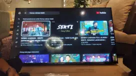 Sony google tv 55inch 55S30