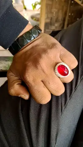 Cempaka merah Baron dim 18mm ngair