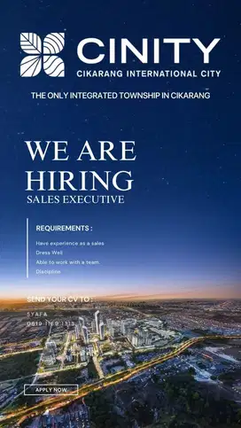 HIRING SALES EXECUTIVE