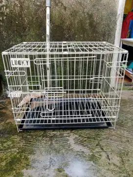 Kandang kucing layak pakai.