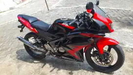 Ninja RR new 2014