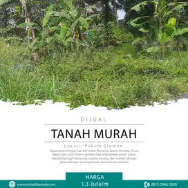 Jual Tanah Murah Di Pakem Cocok Untuk Villa Dengan View Sawah & Gunung