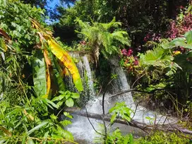 Dijual tanah murah dengan air terjun di bali