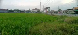 DIJUAL TANAH SAWAH TANPA PERANTARA