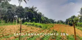 Dijual tanah luas subur sejuk pinggir jalan dekat kota