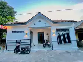 JUAL KOST AKTIF DI BALONG BANGUNTAPAN BANTUL