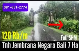 Tanah di Jembrana Negara Bali