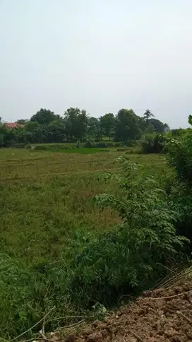 KAVLING LOKASI CIBARUSAH - CIKARANG