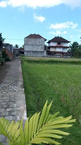 TANAH BUAT HOTEL / VILA di UBUD-BALI