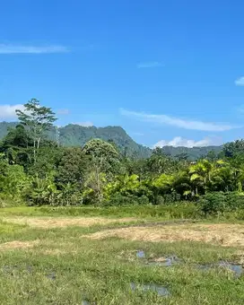 Tanah kawasan wisata dengan view alam yang menawan di karangasem